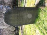 image of grave number 683046